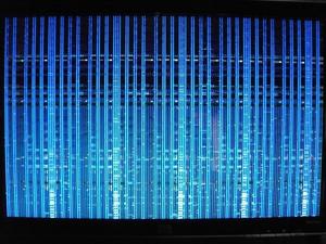 hp_pavilion_screen1.jpg