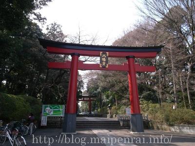 omiya-hachiman-torii.jpg