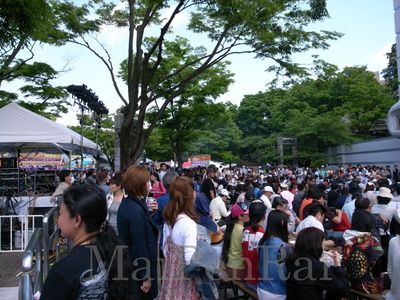 thaifes2010_2.jpg