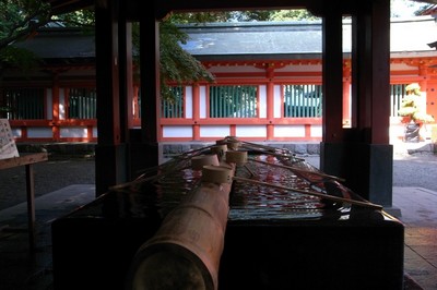 RIMG0133.JPG
