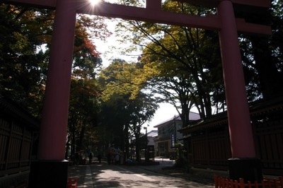 RIMG0152.JPG