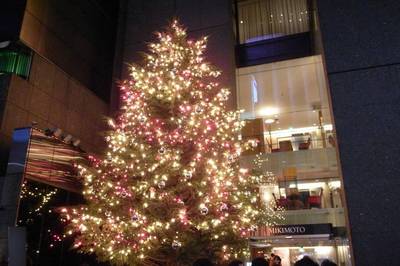 ginza_201012-1.jpg