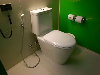 toilet_showerhead.jpg