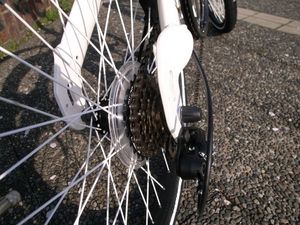 new-bike-2.jpg