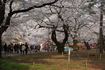 DSC01846.jpg