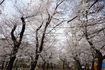 DSC01852.jpg