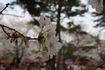 DSC01859.jpg