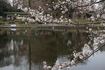 DSC01863.jpg