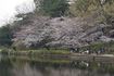 DSC01864.jpg