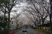 DSC01872.jpg