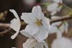 DSC01876.jpg