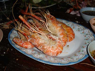 ebi_before.jpg
