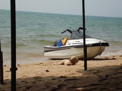 jomtien0611_1.jpg