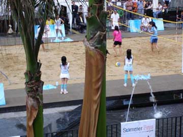 cwp_summer03.jpg