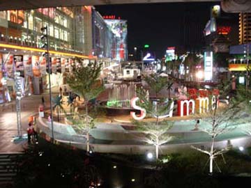cwpnight_02.jpg