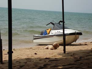 jomtien_beach01_s.jpg