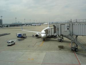 ana_plane.jpg