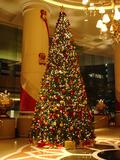xmas_tree_ihotel.jpg